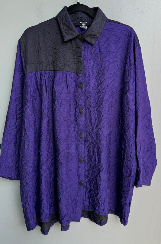 Side Pleat Tunic Shirt