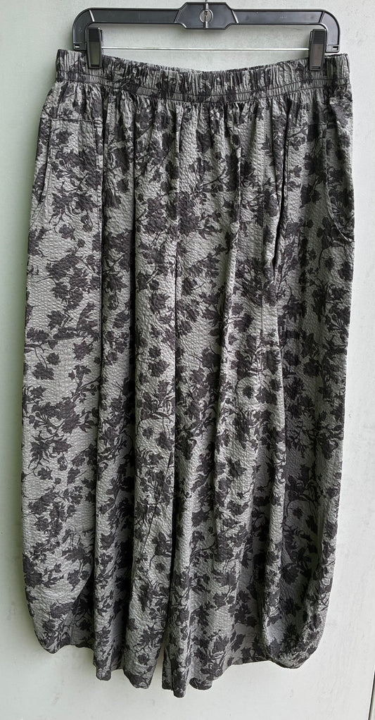 Fly Pant